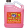 MIST-N-SHINE DETAILER